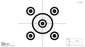 Set of 5 airgun targets