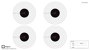 Set of 4 airgun targets